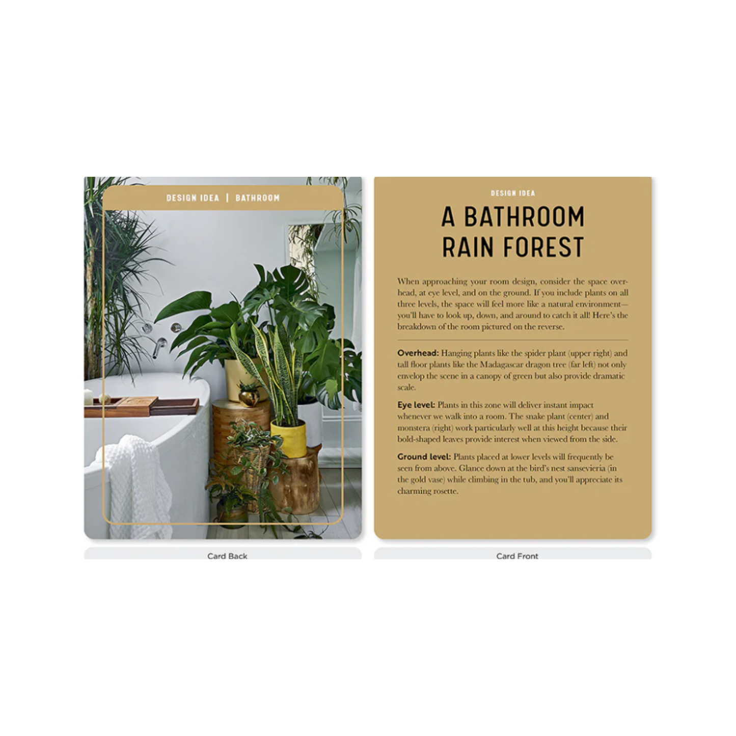 The House Plant Card Deck