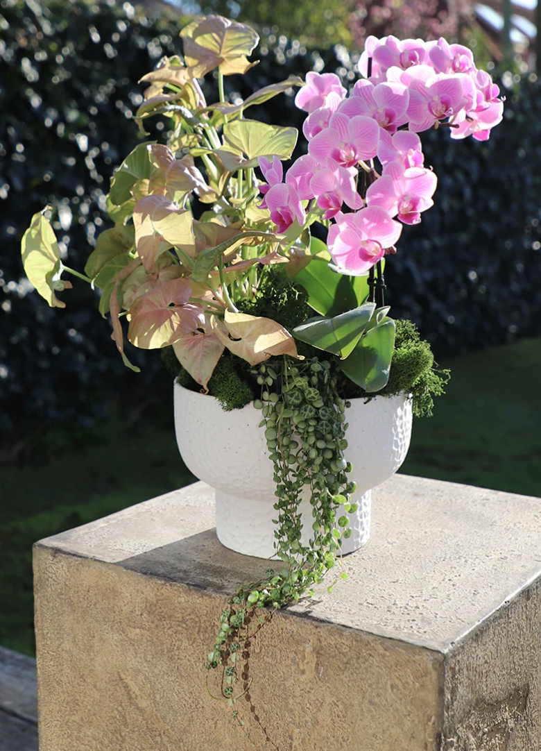 Clio Pedestal Vase
